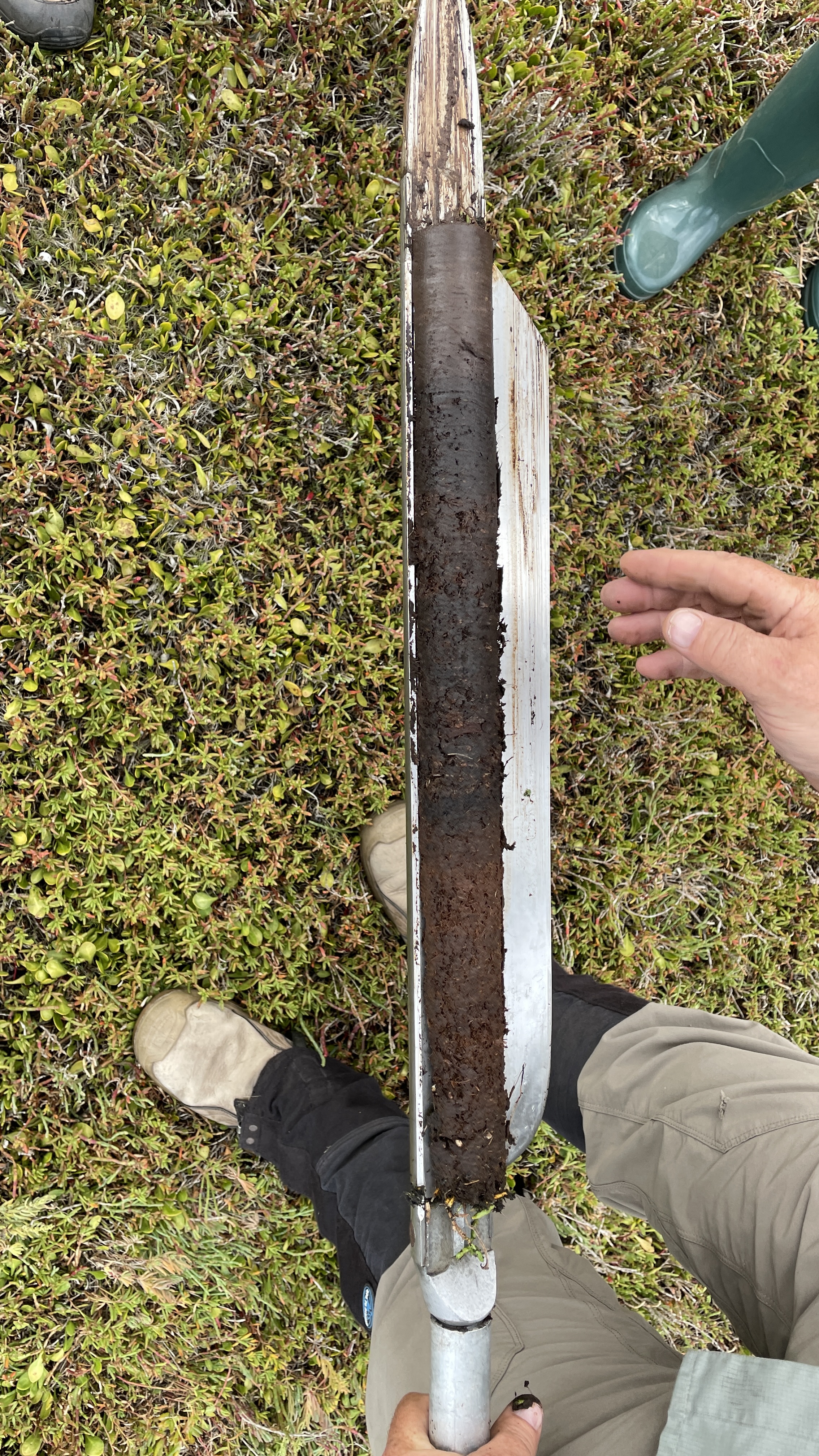 The first 70 cm.