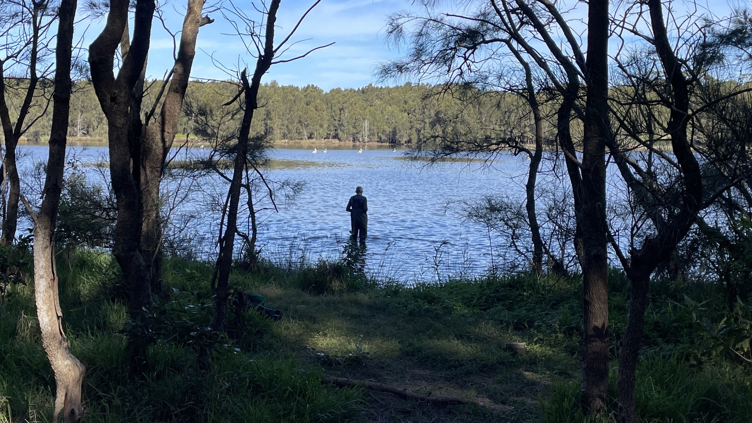Setting up in the swamp.